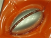 Microsoft 光学星光鲨-红(Opticl Mouse by S+ARCK)