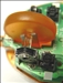 Microsoft 光学星光鲨-红(Opticl Mouse by S+ARCK)