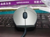 罗技迷你旋貂