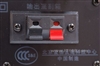 漫步者R1900TII06