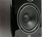 惠威D1010MKII