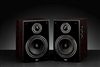 惠威D1080MKII