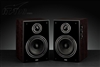 惠威D1080MKII