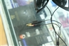 SONY DR-270DP