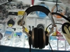 SONY MDR-V700