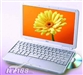 NEC Versa S3000(1.3GHz/256M/60G)