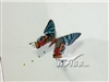 海尔W11(360256040B)