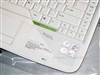 Acer Aspire 4315(200512C)