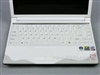 方正S301小鼠本(400)