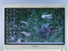惠普Compaq Presario V2009AP(PH470PA)