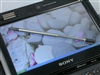 SONY VGN-UX28CN