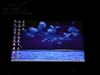 华硕A8H237Sr-SL