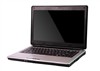 神舟优雅A450-T4400