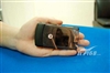 MOTO RAZR V3C