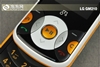 LG GM210