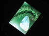 CoolPAD 728B+