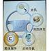 CoolPAD 8360
