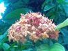 华硕P527