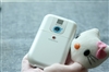 Palm Treo 500v