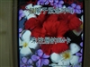 夏普V903SH