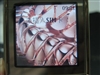 诺基亚8800 Sirocco