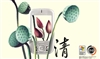 多普达818