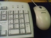 BenQ P50