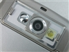 CECT V80