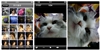 苹果iPhone 3G 8GB