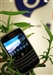 BlackBerry 9000