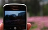BlackBerry 9000