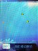 桔子桔子王F9