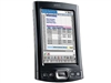 Palm TX