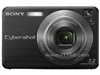 SONY W120