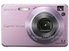 SONY W120