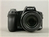 SONY H50