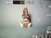 奥林巴斯E-620