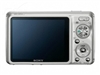 SONY W220