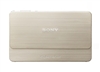 SONY T700