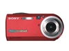 SONY DSC-P100