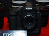 佳能EOS 1D MARK II N