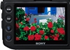 SONY a700