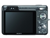 SONY W300