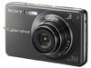 SONY W300