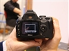 尼康D60(单头套机18-55)