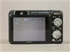 SONY W170
