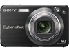 SONY W170