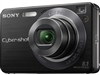 SONY W170
