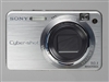 SONY W170