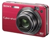 SONY W170